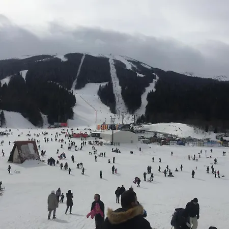 Amazing View