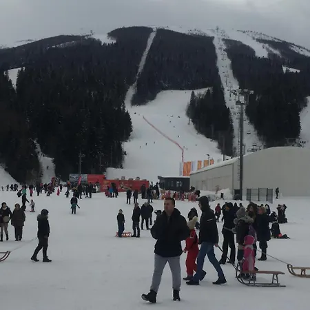 Daire Amazing View Hrasnica